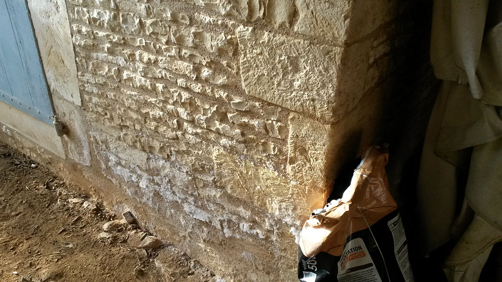 Traitement contre les champignons sur les murs à Reims - Habitat